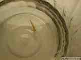 Unknow creature (Damsel fly larvae)
